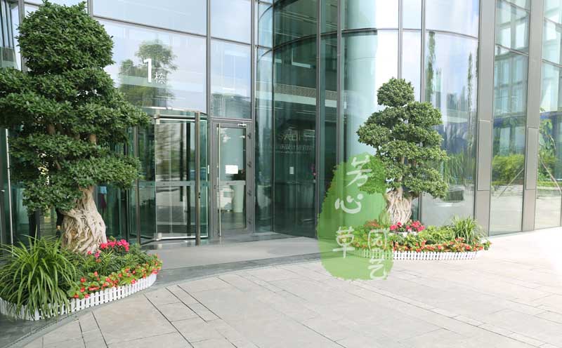 上海建设银行植物租摆案例